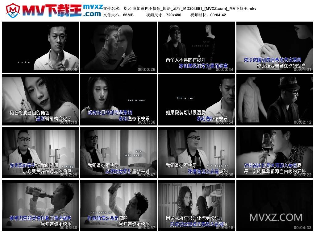 蓝大-我知道你不快乐_国语_流行_MD204851